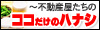 ココだけの話