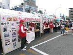 IMG_3184.jpg
