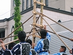 IMG_3187.jpg