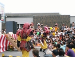IMG_3205.jpg