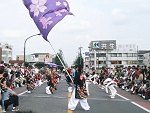 IMG_3241.jpg
