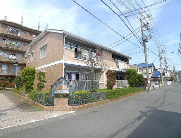 16146画像