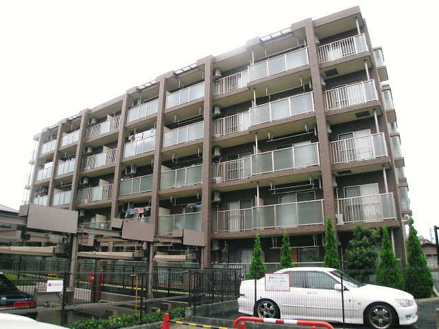 16227画像