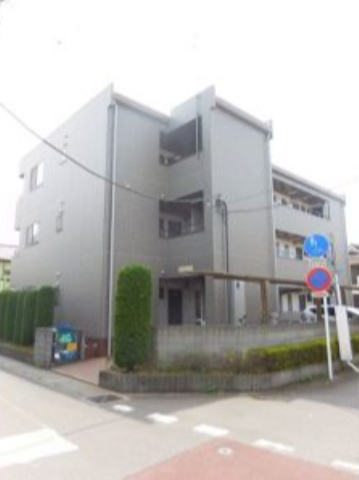 16239画像