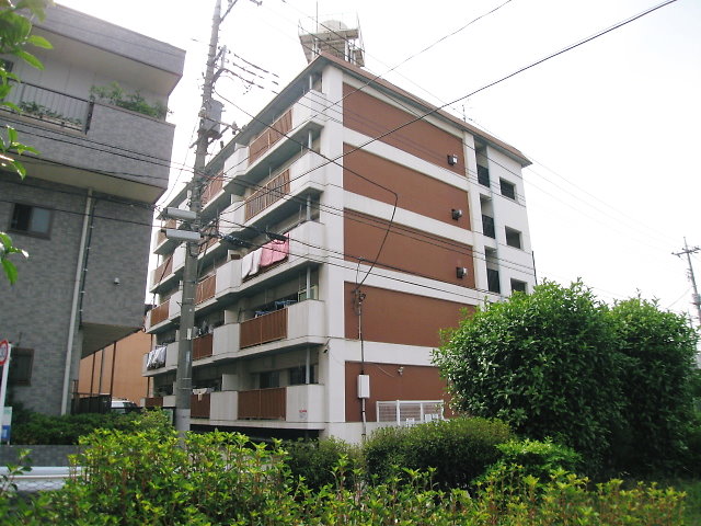 16244画像