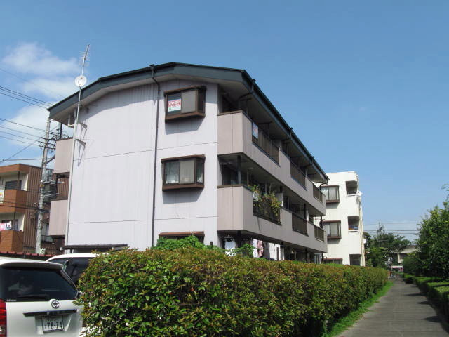16262画像