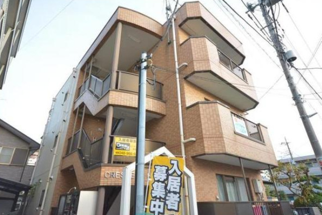 255画像