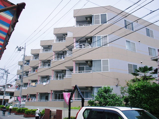 16141画像