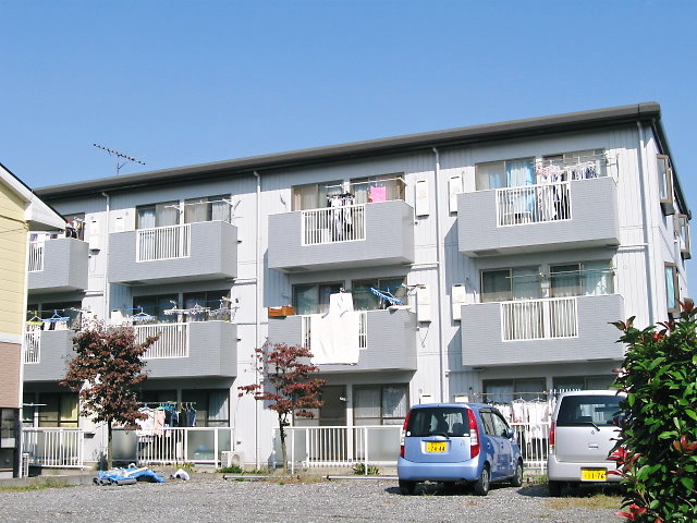 16202画像