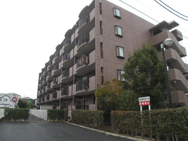 16225画像