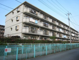 16248画像