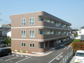16271画像
