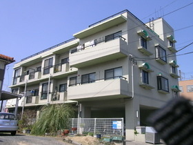 16549画像