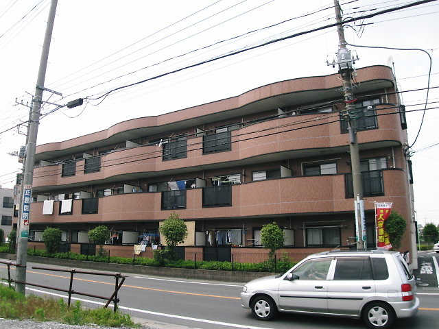 16955画像