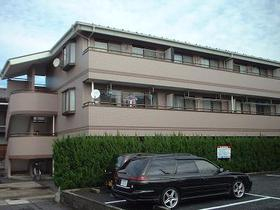 17207画像