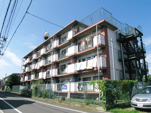 17297画像