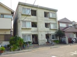 17300画像
