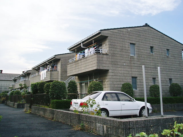 19画像