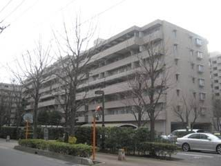 7914画像