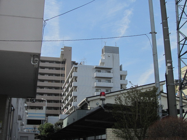 メデテリアンブルー_画像3